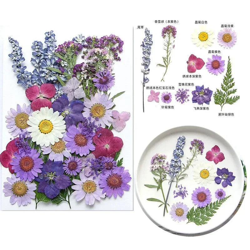 fleurs séchées multicolores variées naturelles scrapbooking décoration maison artisanat DIY