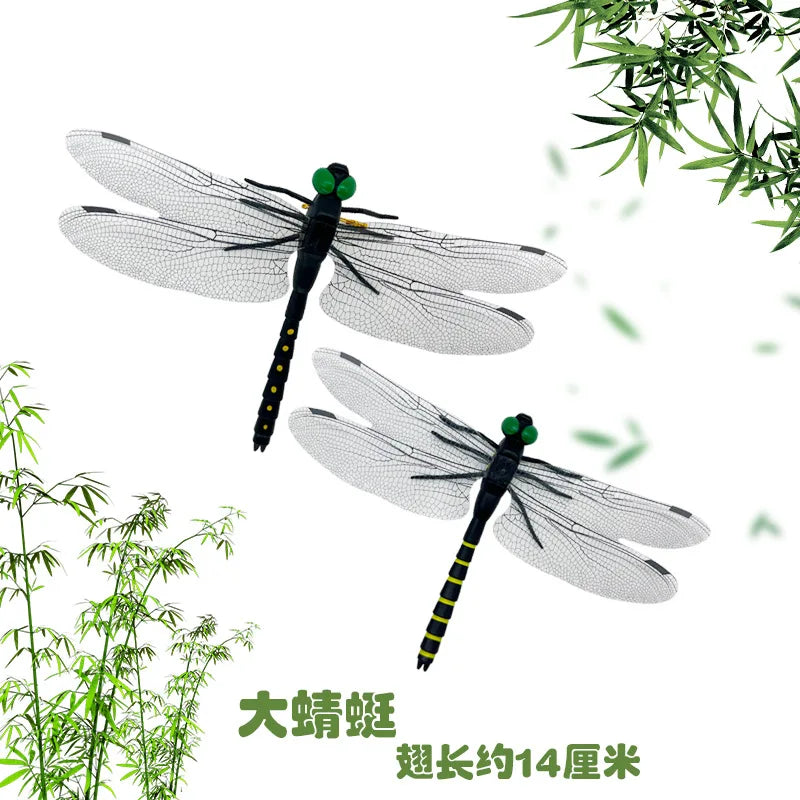 décoration extérieure dragonfly répulsif moustiques naturel sans chimie vert translucide jardin tringle
