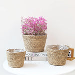paniers tissés paille rustique boho chic intérieur extérieur stockage fleurs verte naturel