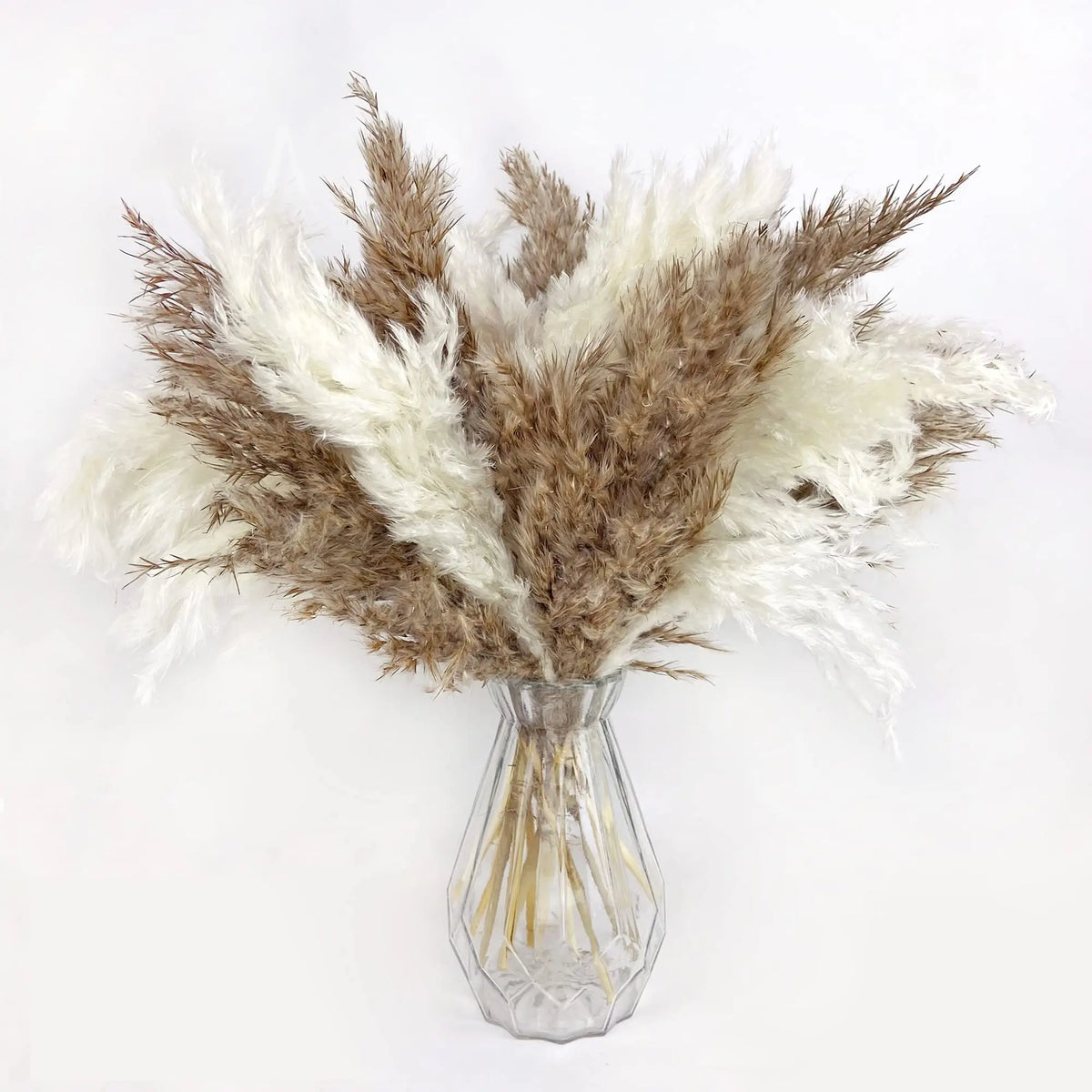 bouquet pampas séchées naturelles décoration maison anniversaire baby shower graduation rustic styleintérieur festive