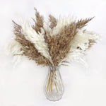 bouquet pampas séchées naturelles décoration maison anniversaire baby shower graduation rustic styleintérieur festive