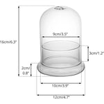 terrarium moderne transparent verre base vase plantes maison cloche