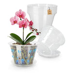 pots plantes transparents perforés modernes plateaux 11 12.5 14 15 17cm orchidées