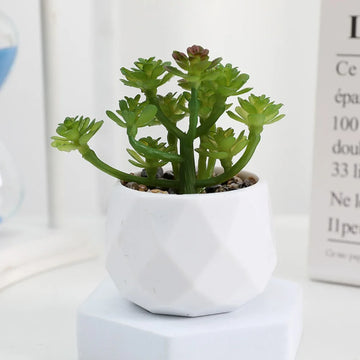 plantes artificielles bonsaï modernes mini jardins intérieurs pots succulentes couleurs vives minimalisteextérieur