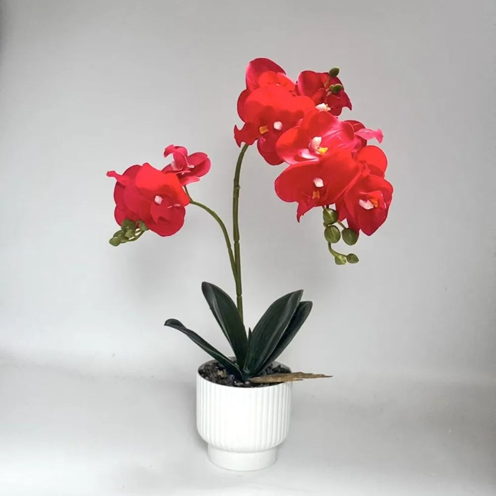 décoration intérieure orchidées artificielles fleurs douces rose blanc pot blanc gravier moderne élégant accroché