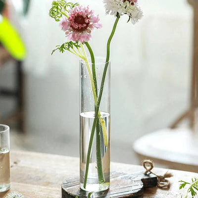 Vase cylindrique en verre transparent avec plante hydroponique