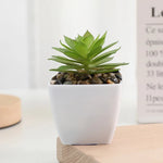 plantes succulentes artificielles vert rouge marron moderne minimaliste intérieur décoration maison