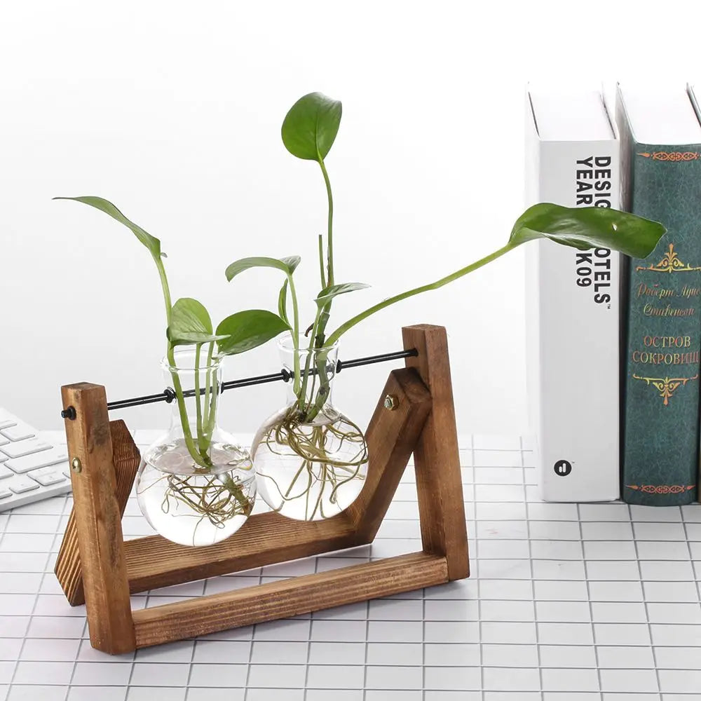 Support plantes verre transparent moderne minimaliste cadre bois clips métalliques deux vases