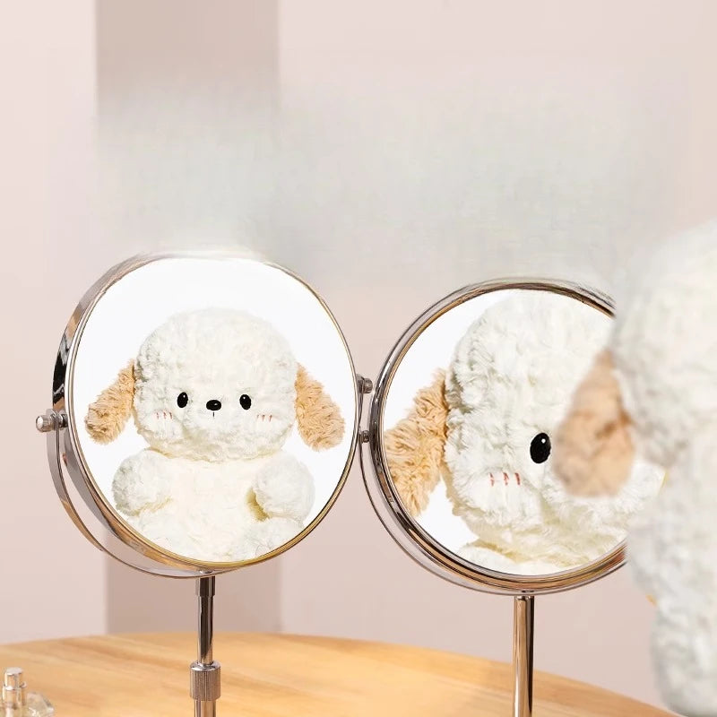 miroir cosmétique argenté moderne minimaliste tringle ajustable salle maquillage decoration maison