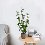 décoration intérieure plante artificielle fleurs feuilles moderne rose blanche verte salon