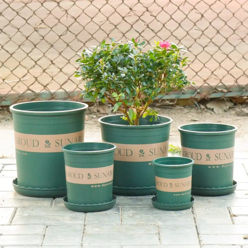pots fleurs modernes vert opaque sans fixation soucoupe plastique balcon jardin