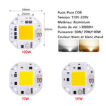 éclairage led cob 100w 70w 50w blanc blanc chaud moderne technologique aluminium connecteurs entrée