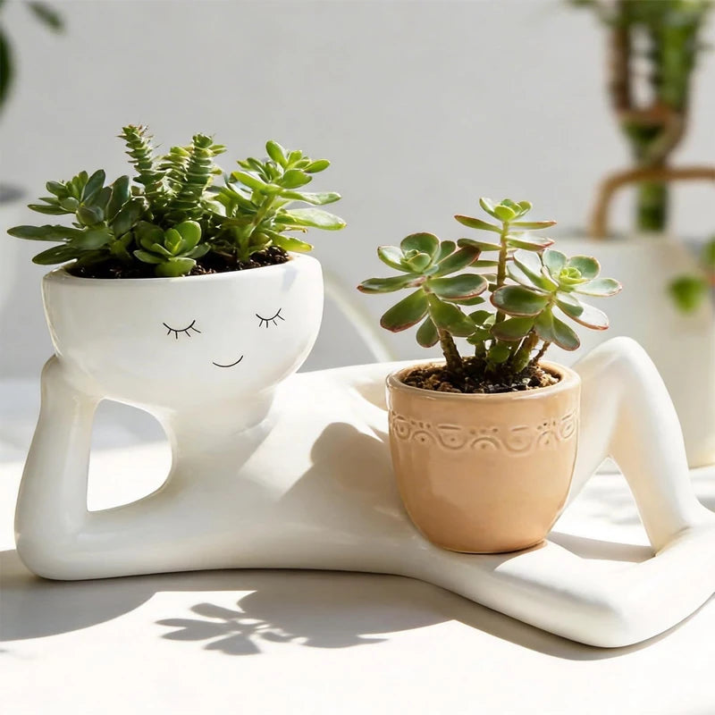 porte pots résine blanche moderne succulentes cactus plante humoristique decoration intérieure