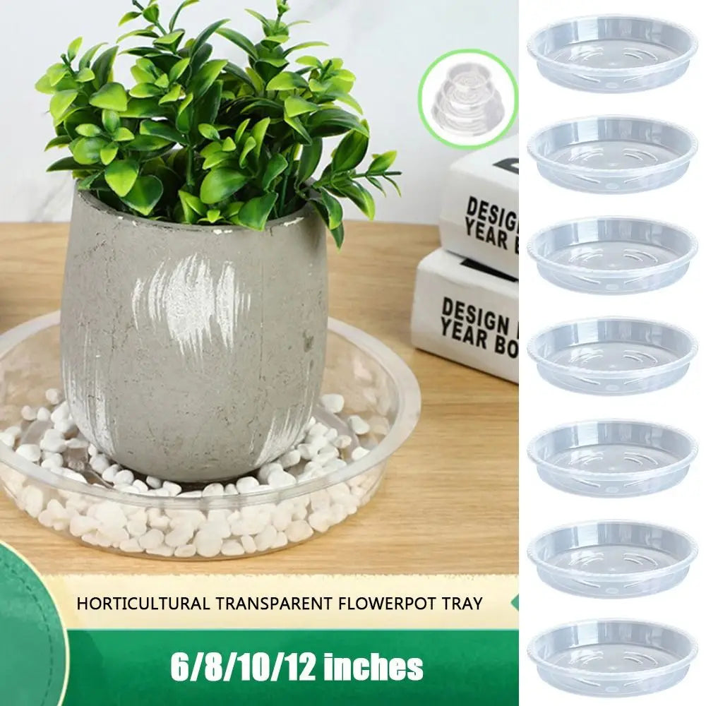 plateau fleur transparent moderne rayures ondulées différentes tailles plantes maison set
