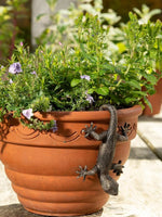 Ornement Gecko pour jardin et cour exterieure
