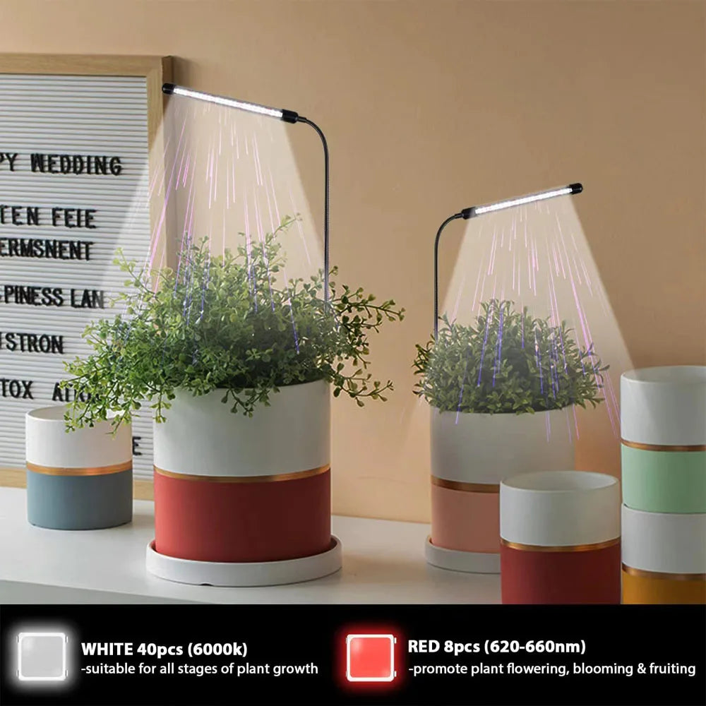 lampe led croissance plante spectre complet 6000k adhésif moderne câble usb commande distance