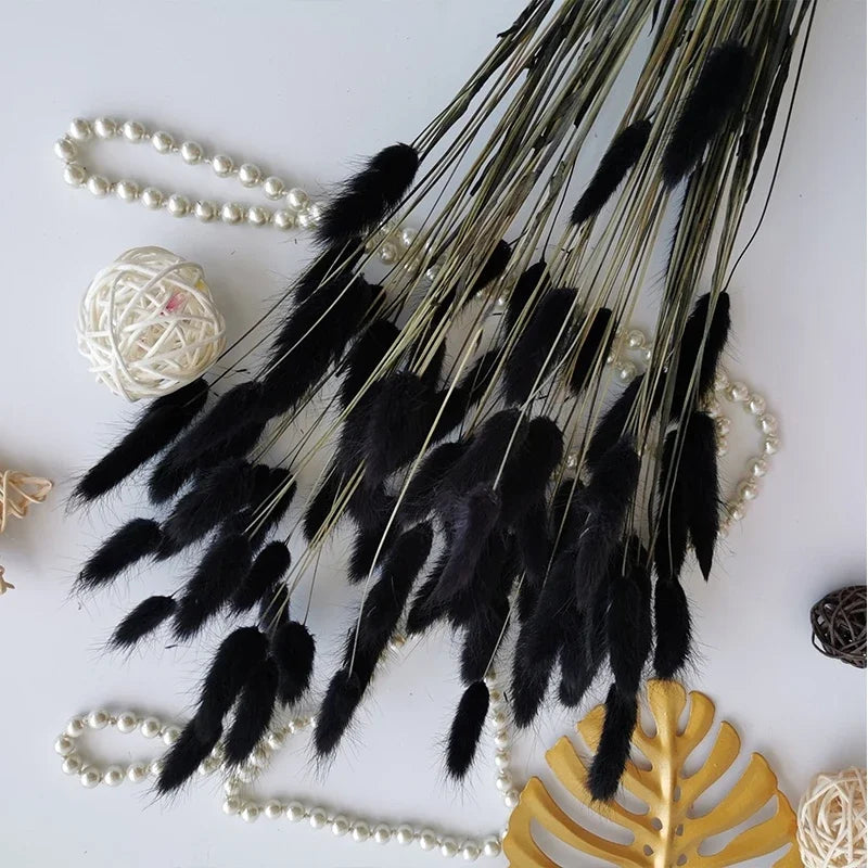 bouquet fleurs séchées plumes fines décoration intérieure mariage anniversaire rustique beigeclair naturel driedflowers