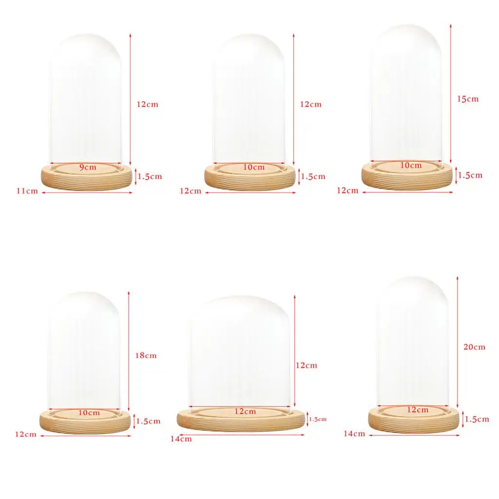 cloche verre transparent base bois cloche led decoration intérieure terrarium vase paysagiste