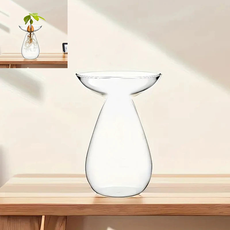 vase transparent moderne plante graine avocat culture hydroponique décoration maison minimaliste