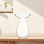 vase transparent moderne plante graine avocat culture hydroponique décoration maison minimaliste