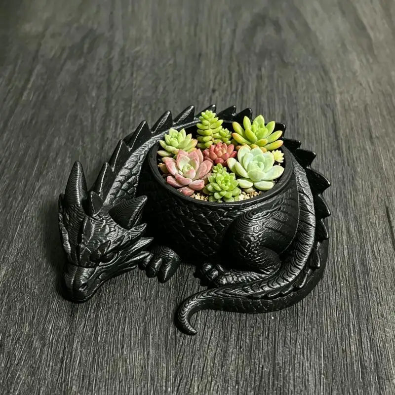 cache plante dragon noir blanc écaille fantaisie articulé succulentes