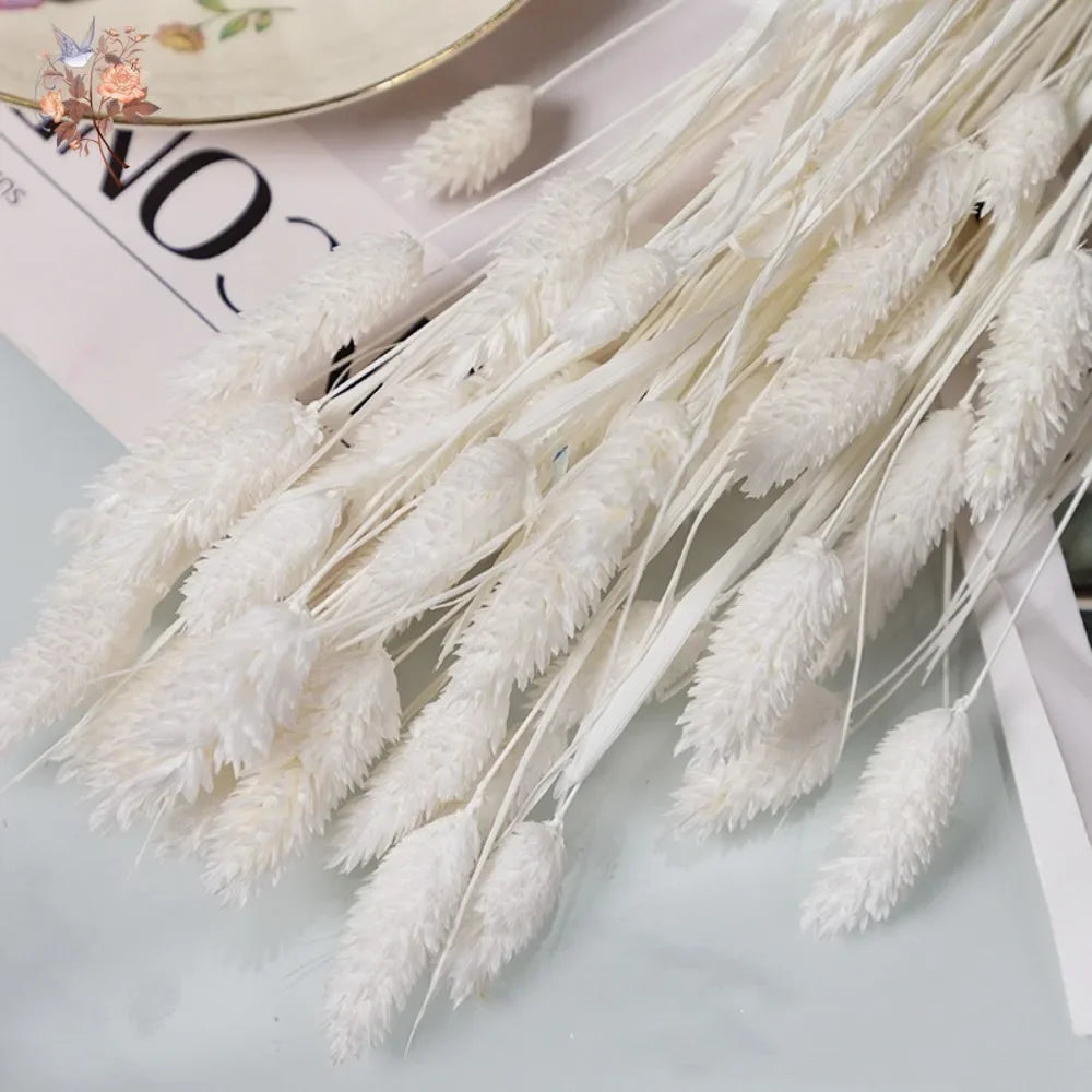 bouquet fleurs séchées blanc naturel rustique décoration intérieure anniversaire mariage pendaison crémaillère anneaux métalliques