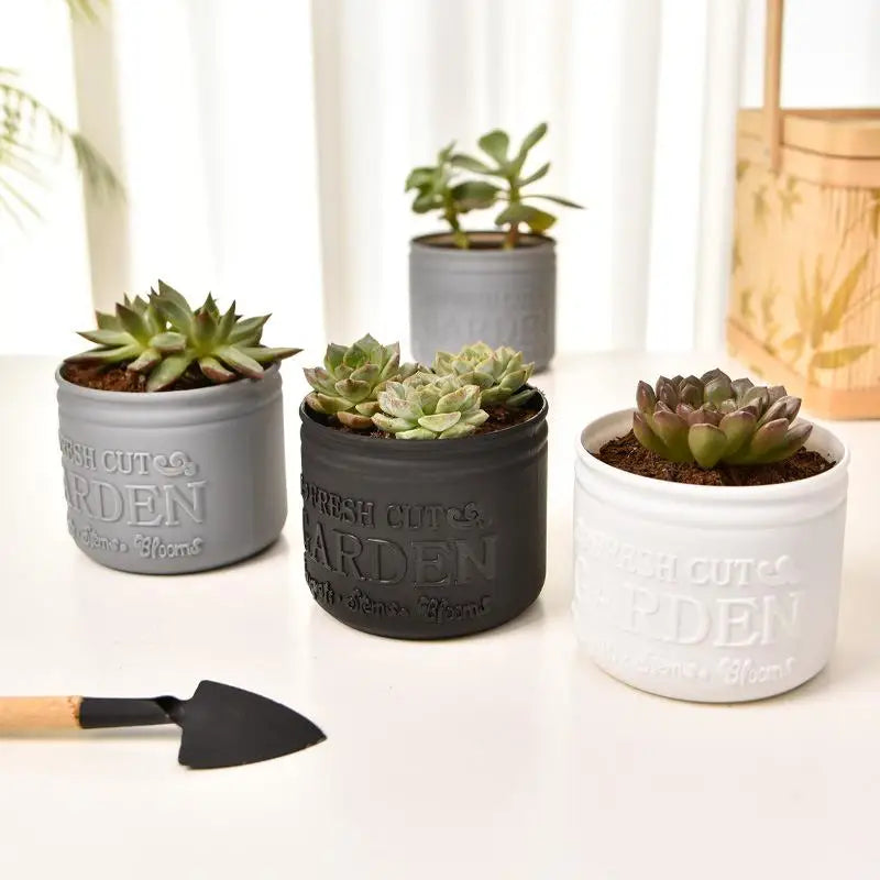 pots fleurs succulentes rustique couleurs gris noir blanc inscription fresh cut garden/eplantes echeveria/eplante verte/eplante