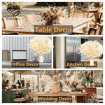 bouquet pampas séchées naturelles décoration maison anniversaire baby shower graduation rustic styleintérieur festive