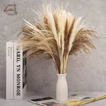 décoration maison bouquets pampas séchés naturels fibres fines rustiques beige marron blanc 40cm anniversaire