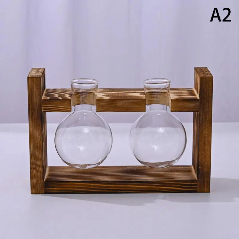 support plantes cadre bois marron verre transparent modernes vases coeurs plantes vertesintérieur décoration minimaliste
