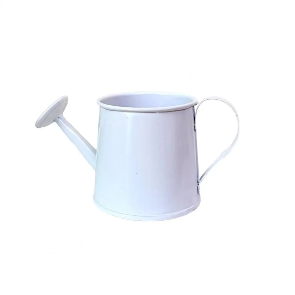 arrosoir moderne poignée perforations bleu rose violet vert blanc