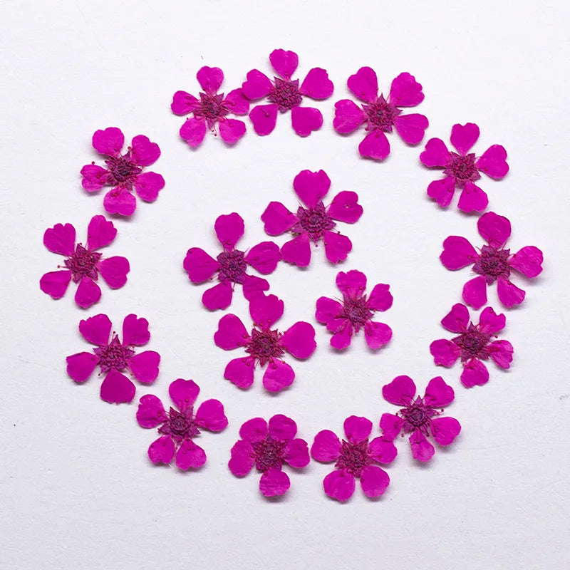 sticker deco fleurs bleu vert rose minimaliste decoration maison intérieur anniversaire supplémentaire orange