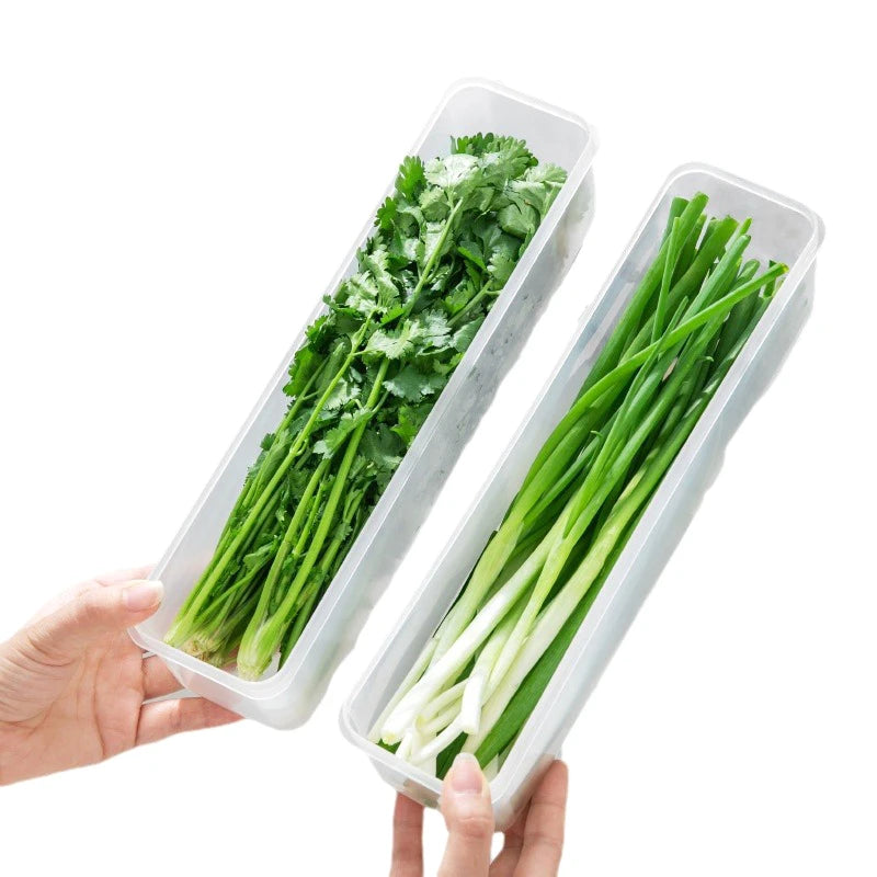 boîtes conservation légumes transparentes moderne poignées réfrigérateur organisation alimentaire PVC pratiques
