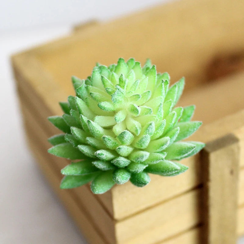 plantes succulentes artificielles cactus agave mini décorations vert blanc moderne minimalisteextérieur exposition