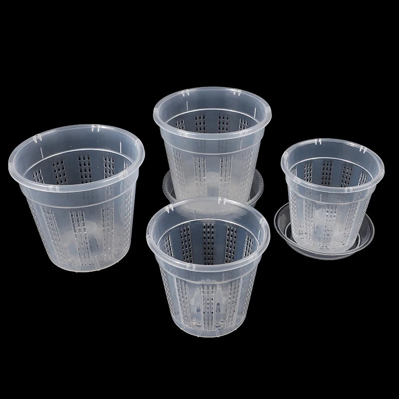 pots fleurs transparents perforés modernes assiette variante A1 A2 B1 B2