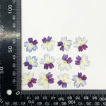 fleurs séchées violet rose blanc décor maison DIY craft nail art maquillage artisanales kit