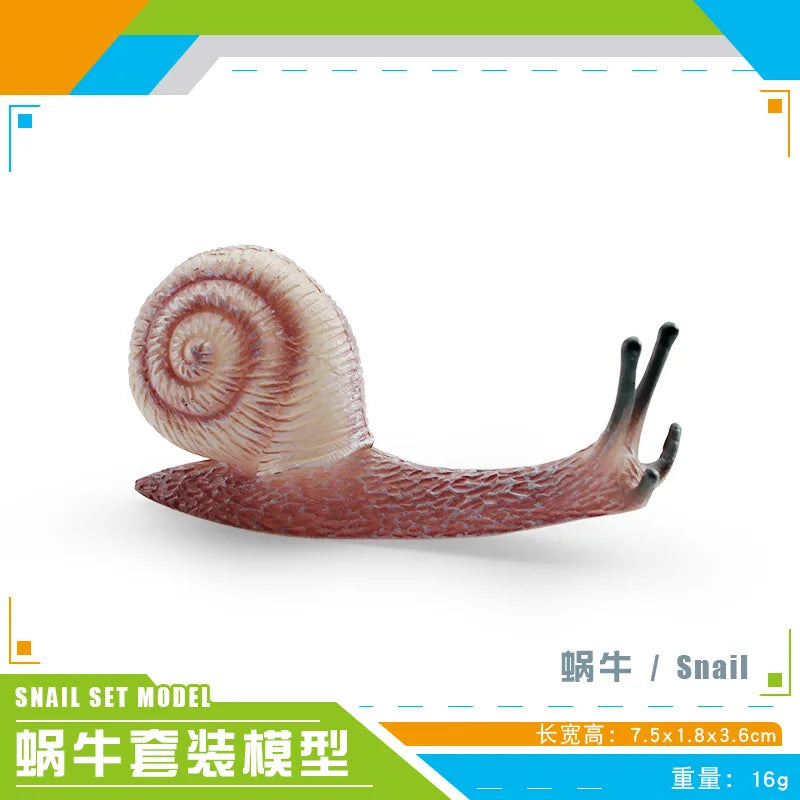 décoration miniature escargot coquille rayées réaliste couleur beige marron orange noir