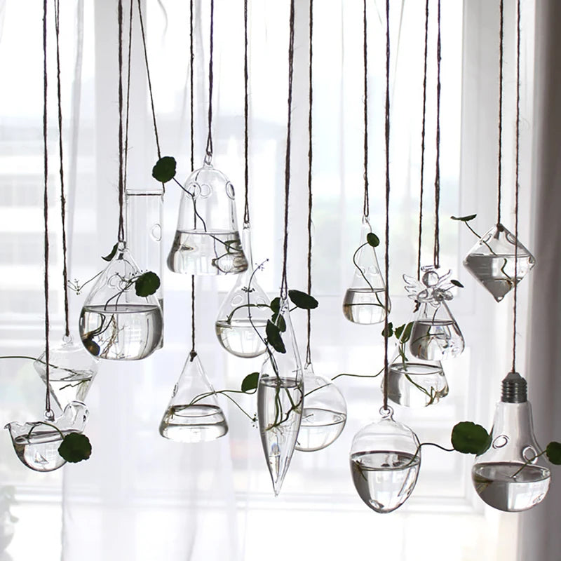 vases suspendus verre transparent modernes plante verte minimaliste fil coton