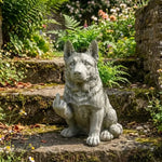 cache pot résine animal réaliste gris texture granuleuse plante verte cactus succulente maison jardin
