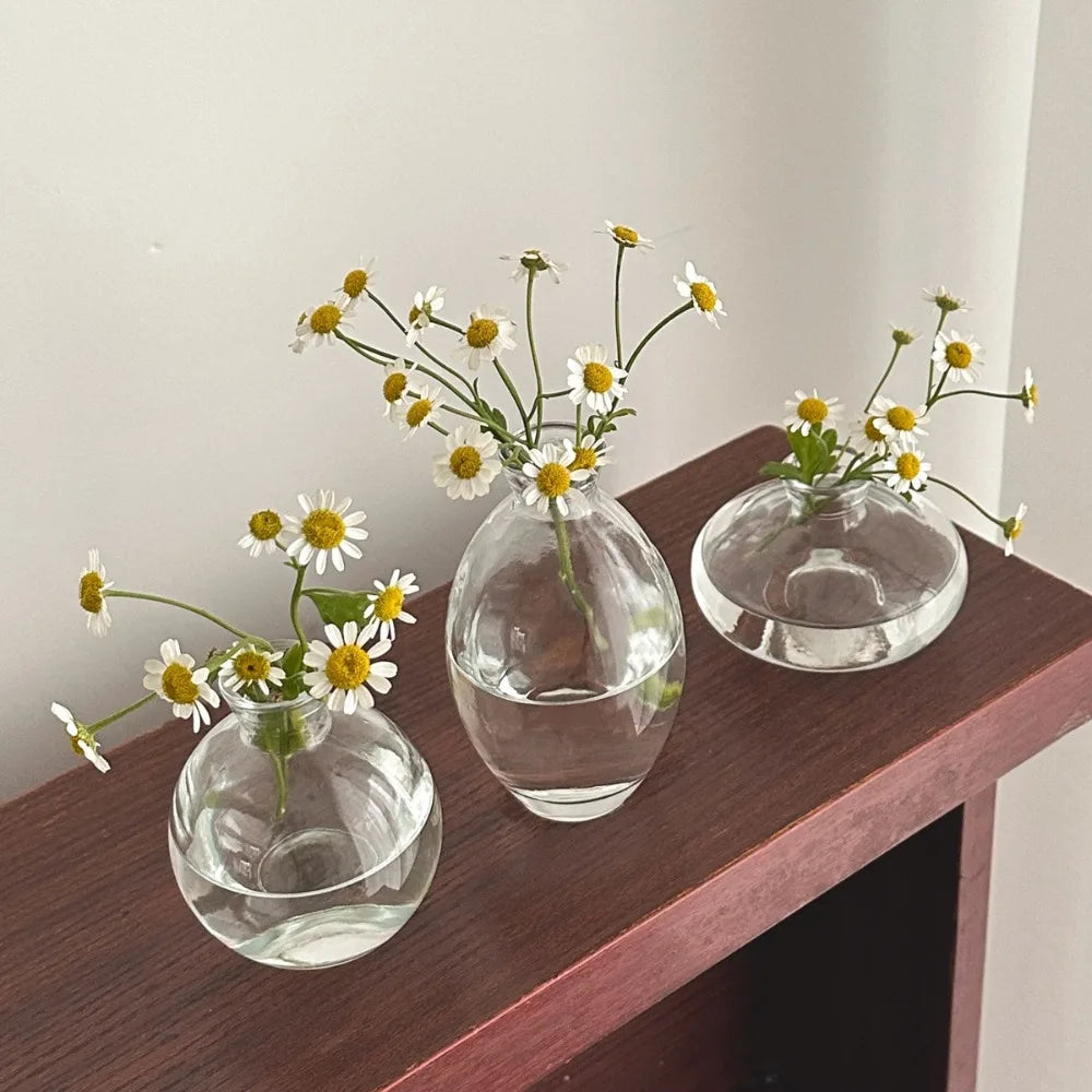 vases transparents simples modernes vases bleu clair verre decoration maison arragement fleurs