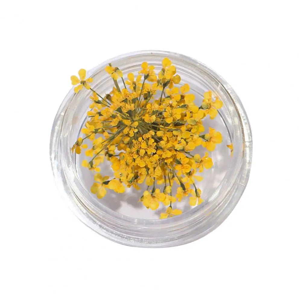 décorations nail art fleurs séchées violet rose vert rouge orange blanc naturel strass ongles