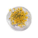 décorations nail art fleurs séchées violet rose vert rouge orange blanc naturel strass ongles