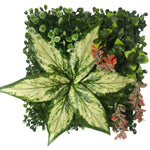 plantes artificielles murales feuilles vertes feuilles rouges clips naturel extérieur branche exposition