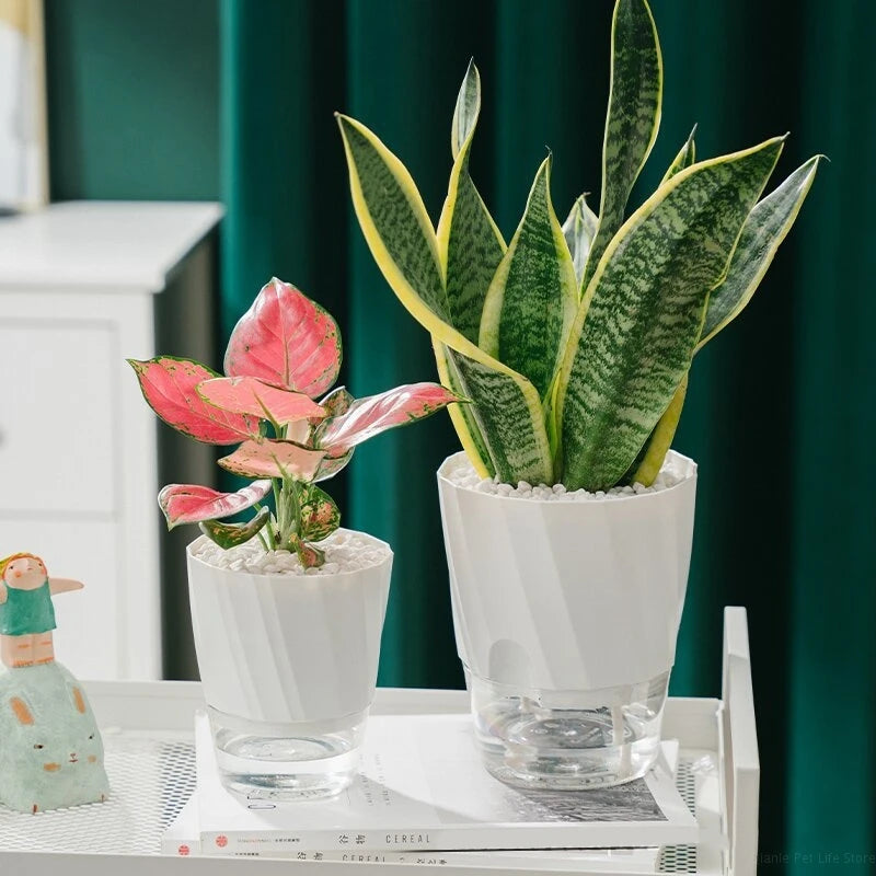 pots plante autoarrosants modernes blanc rose vert minimalistes grille tailles