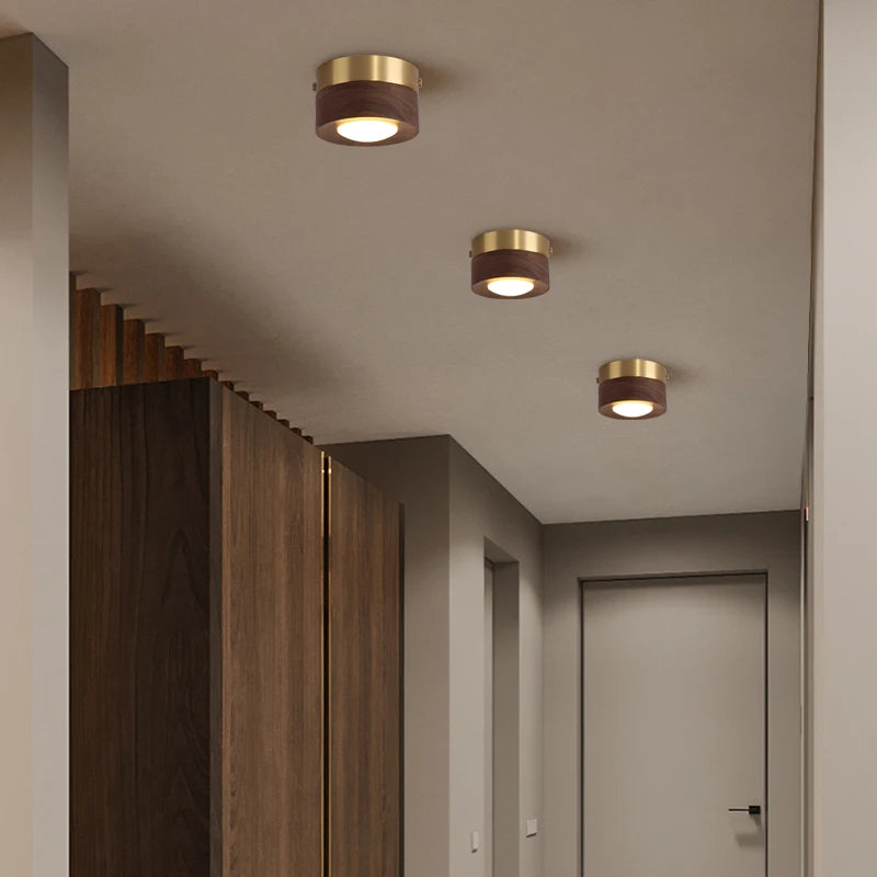 Spot LED moderne bois naturel finition brillante éclairage quotidien clips fixation