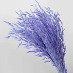 décoration intérieure plumes artificielles violet vert blanc orange jaune rose pâle naturel boho anniversaire