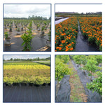 tissu protection jardin noir texture tissée lignes vertes moderne durable anti herbe plastique