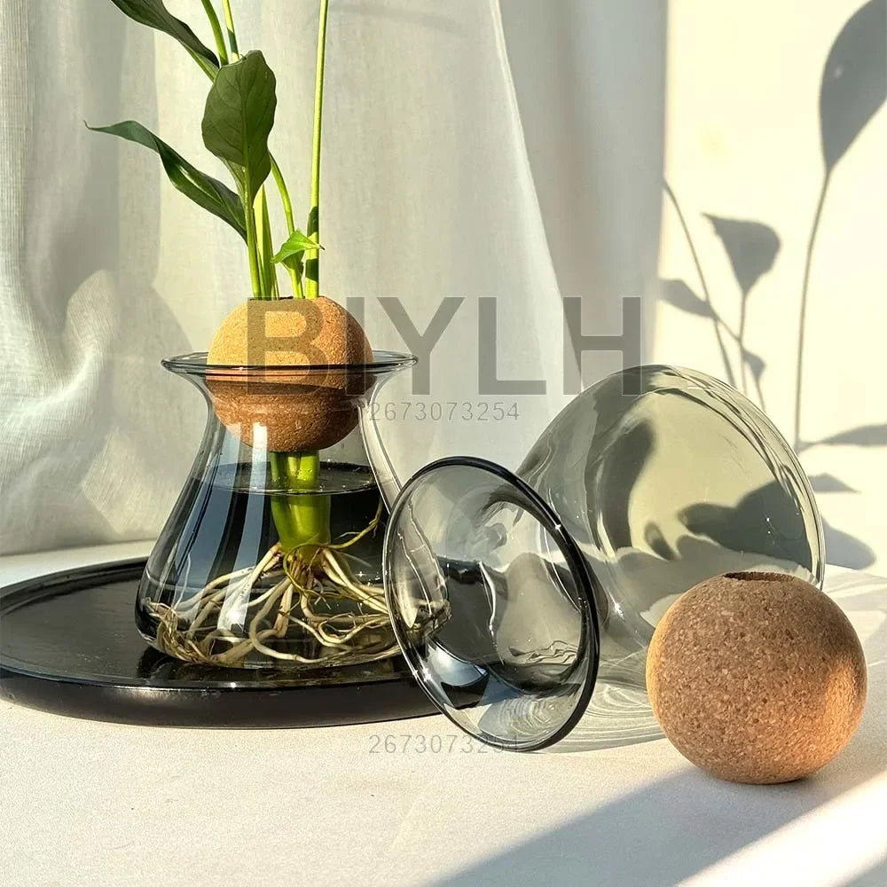 vase verre hydroponie transparent bleu ambré gris plante décoration table moderne minimaliste