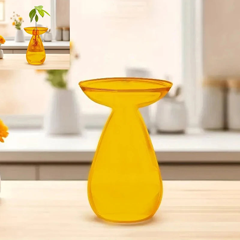 vase transparent moderne plante graine avocat culture hydroponique décoration maison minimaliste