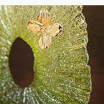 sculpture décorative moderne papillon vert doré motifs floraux contemporaine élégante base noire
